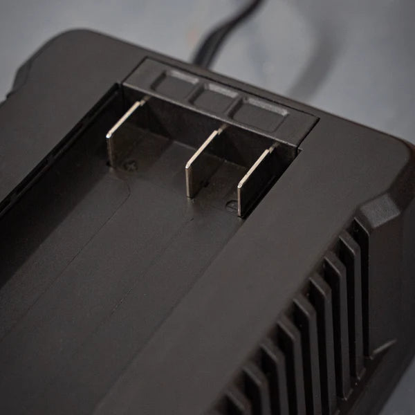 ION battery charger with charge status indicator light