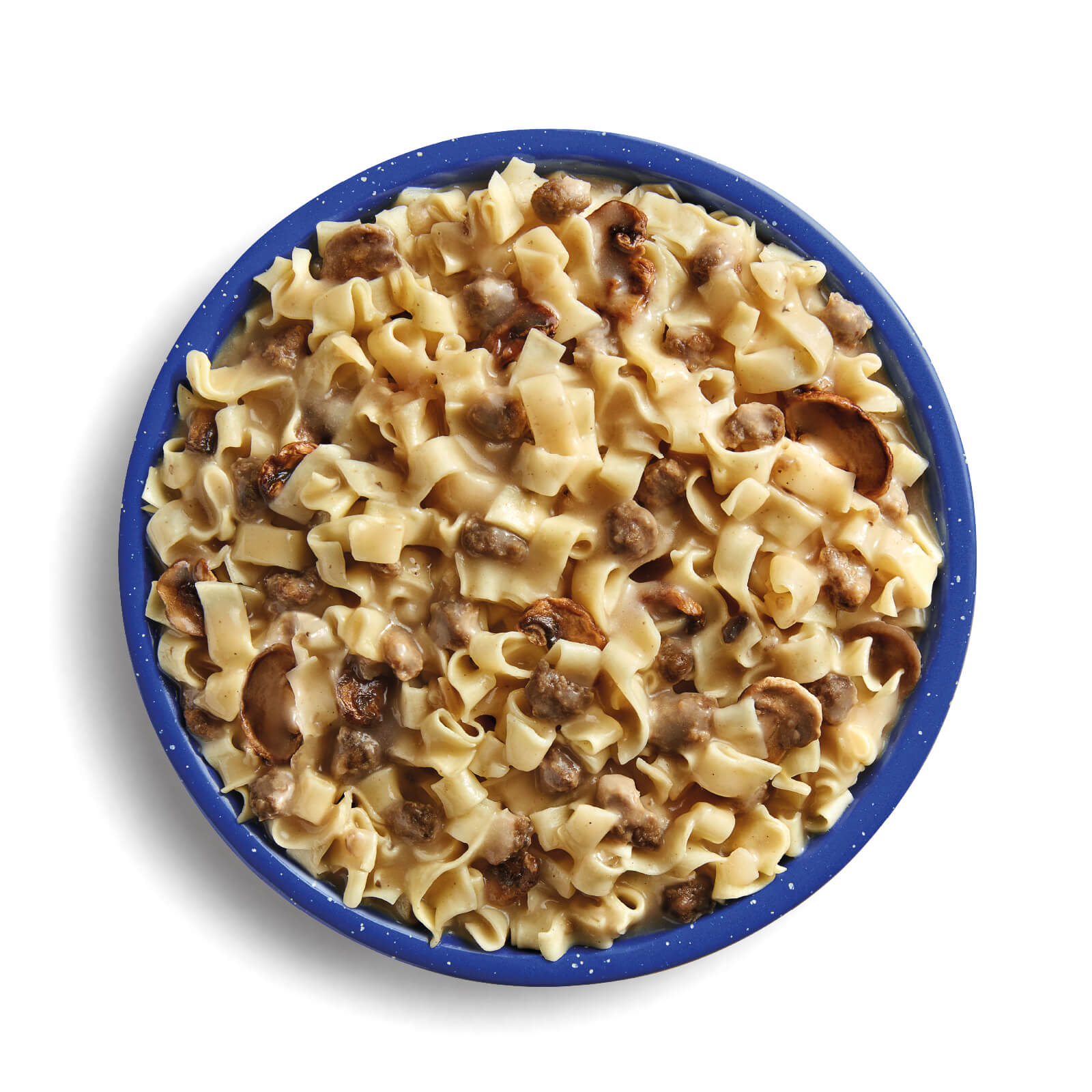 Bowl of prepared Mountain House Beef Stroganoff with Noodles showing tender beef, onions and mushrooms in creamy sauce over egg noodles