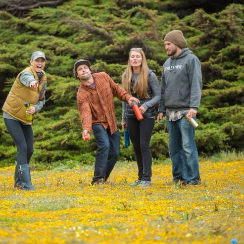 Four people playing a game outdoors with yellow flowers and green trees in the background