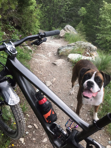Close-up view of bear spray inserted in the Kodiak Wildlife Singletrack Holster