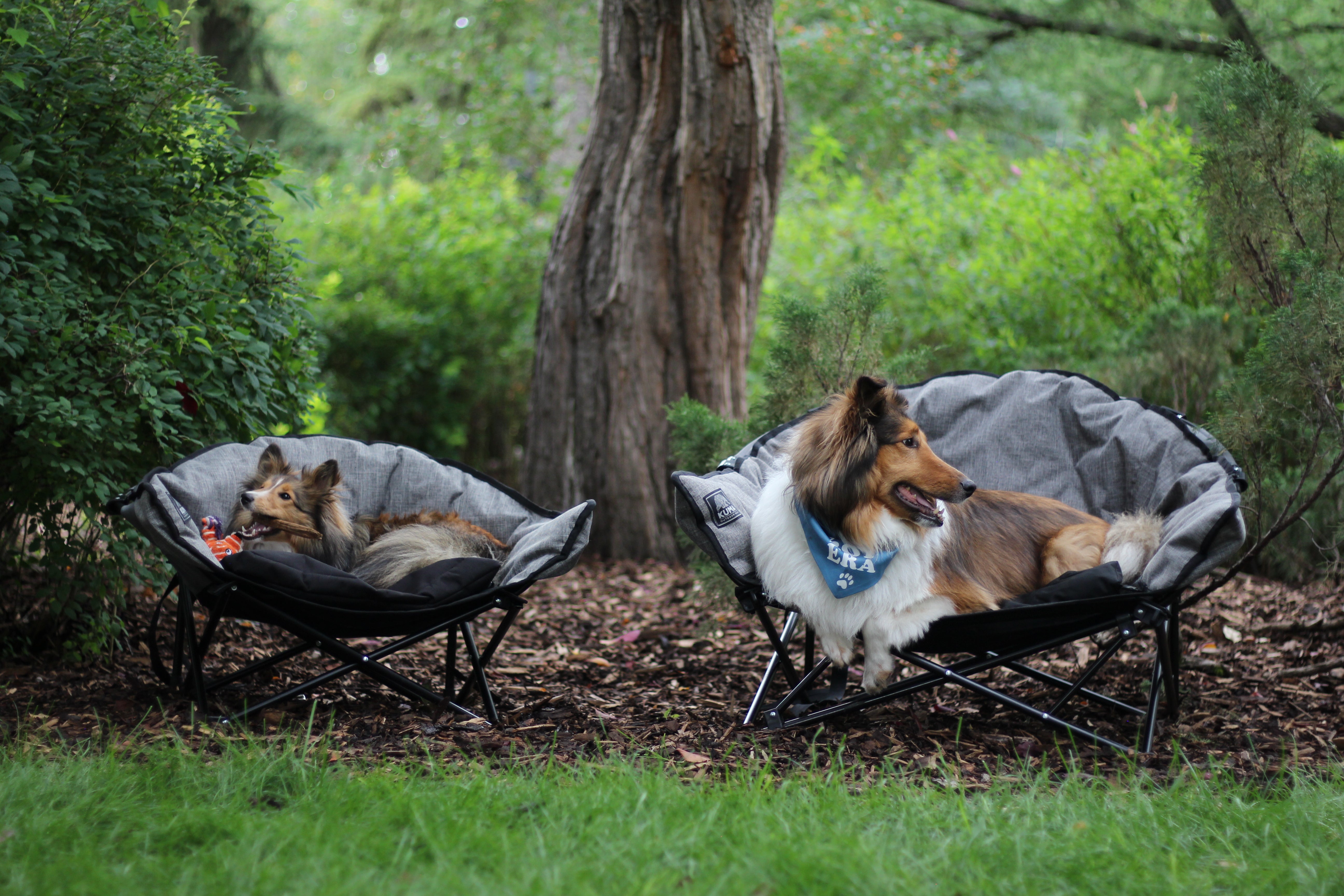 Heather Grey Little Lazy Bear Dog Chair with washable cushion and mesh base
