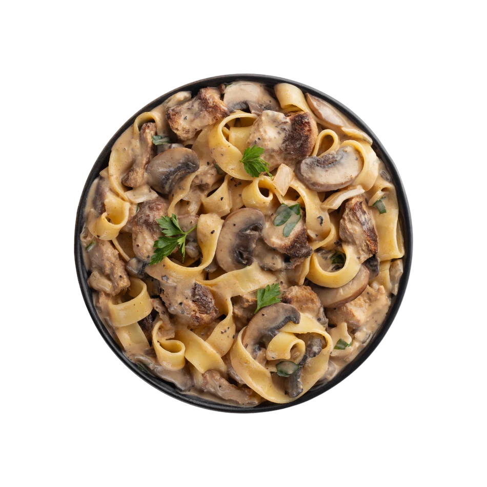 SLY Stroganoff backpacking meal with creamy white wine sauce
