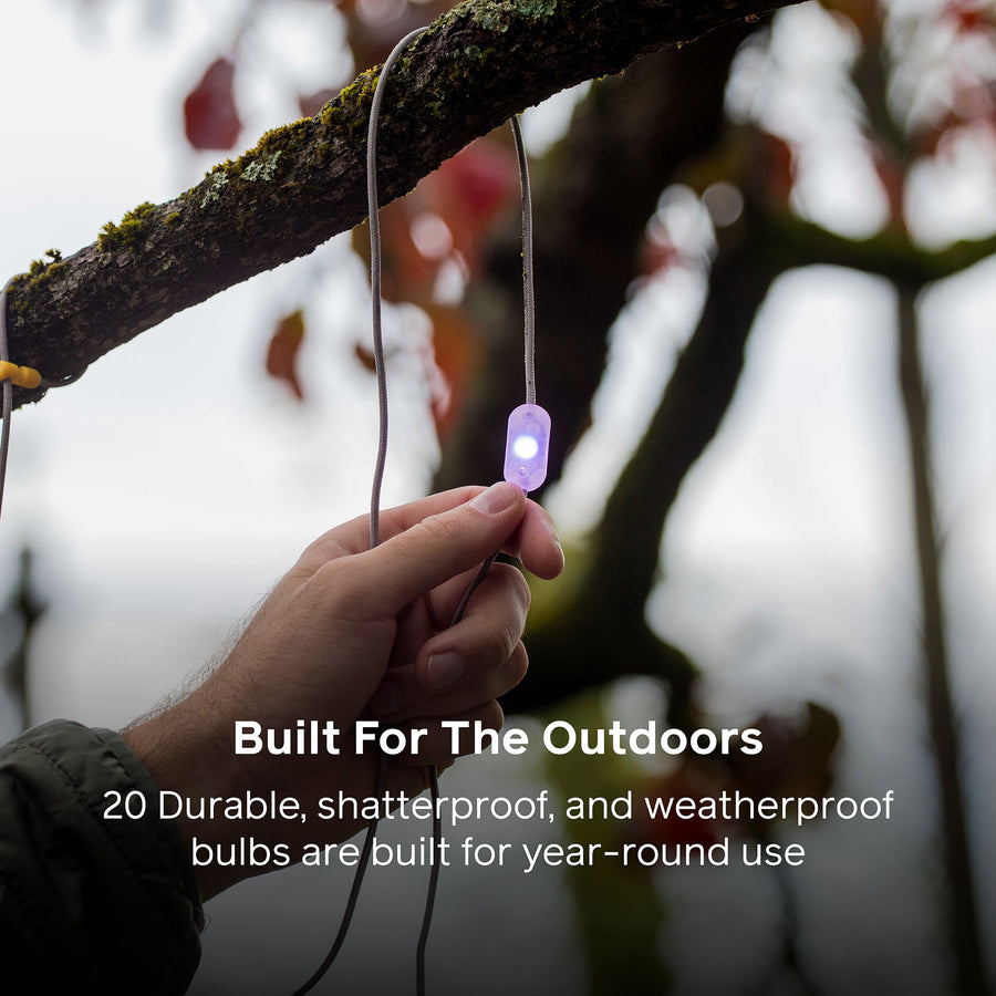 Hand holding a string of lights with a blurred outdoor background