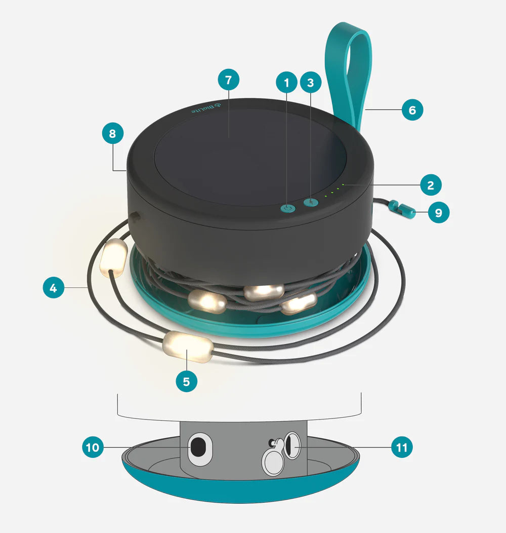 Durable nylon-braided 44 ft Luci solar string lights with USB-C and solar charging