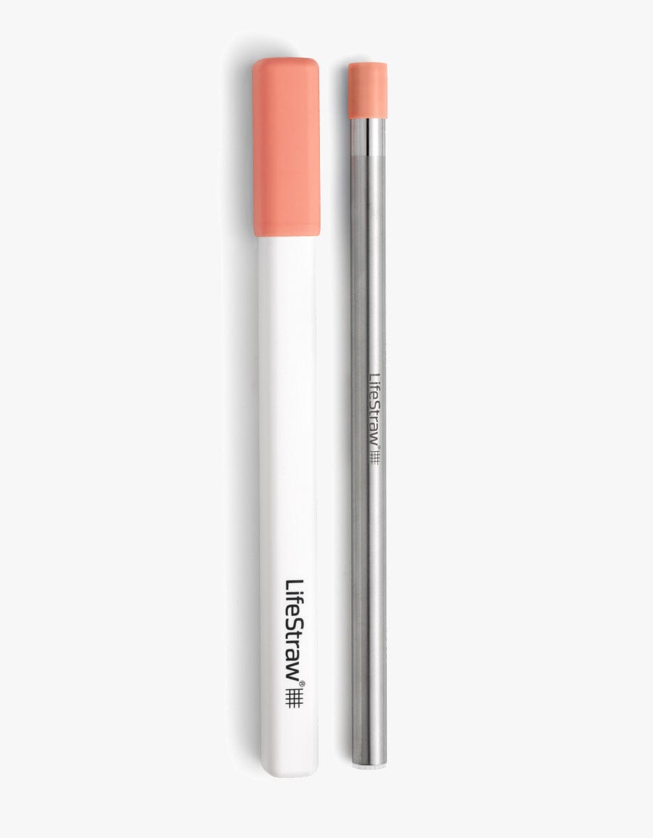 A sleek stainless steel reusable water filter straw with a compact, slim design, accompanied by a matching premium, black carry case. The straw has a silver finish with a slightly rounded tip for easy sipping Apricot Pink