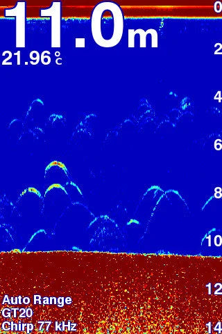 CHIRP sonar transducer (77/200 kHz) providing clear imaging and target separation