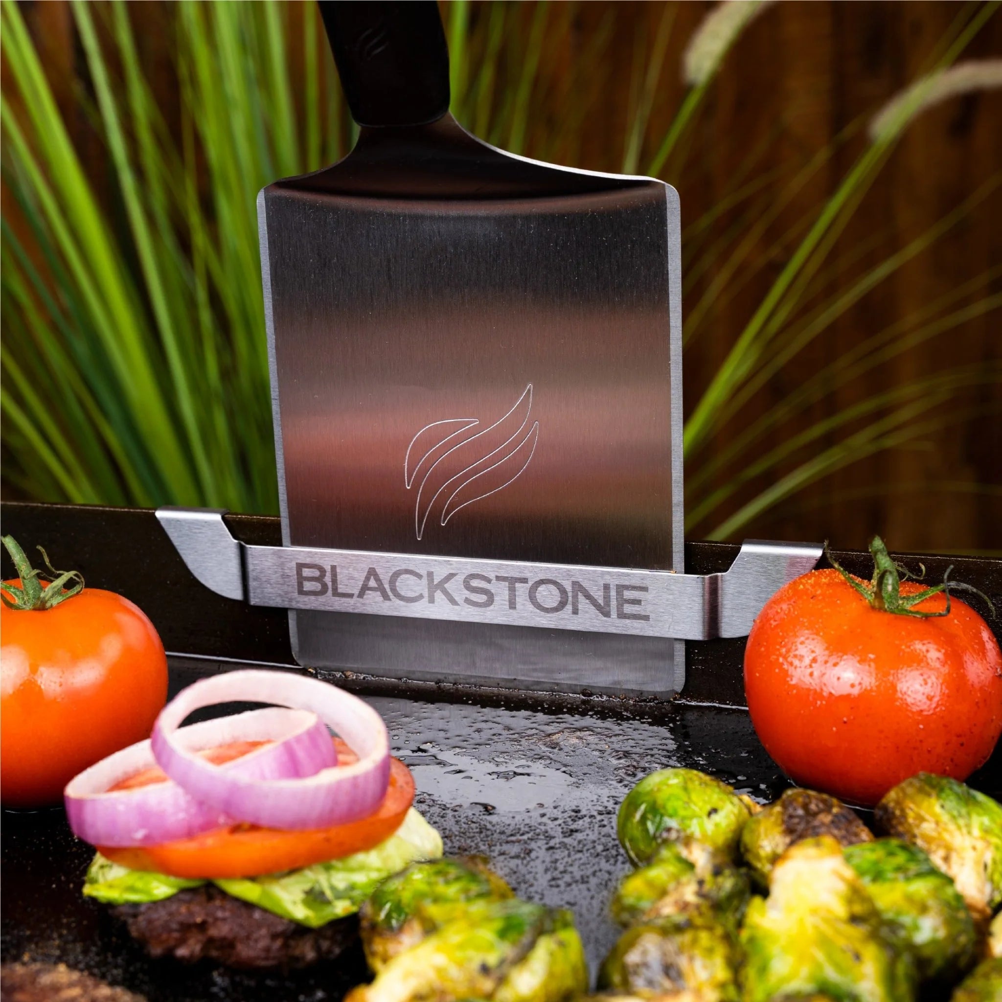 Blackstone grease gate for rear grease system with tool holder and hooks