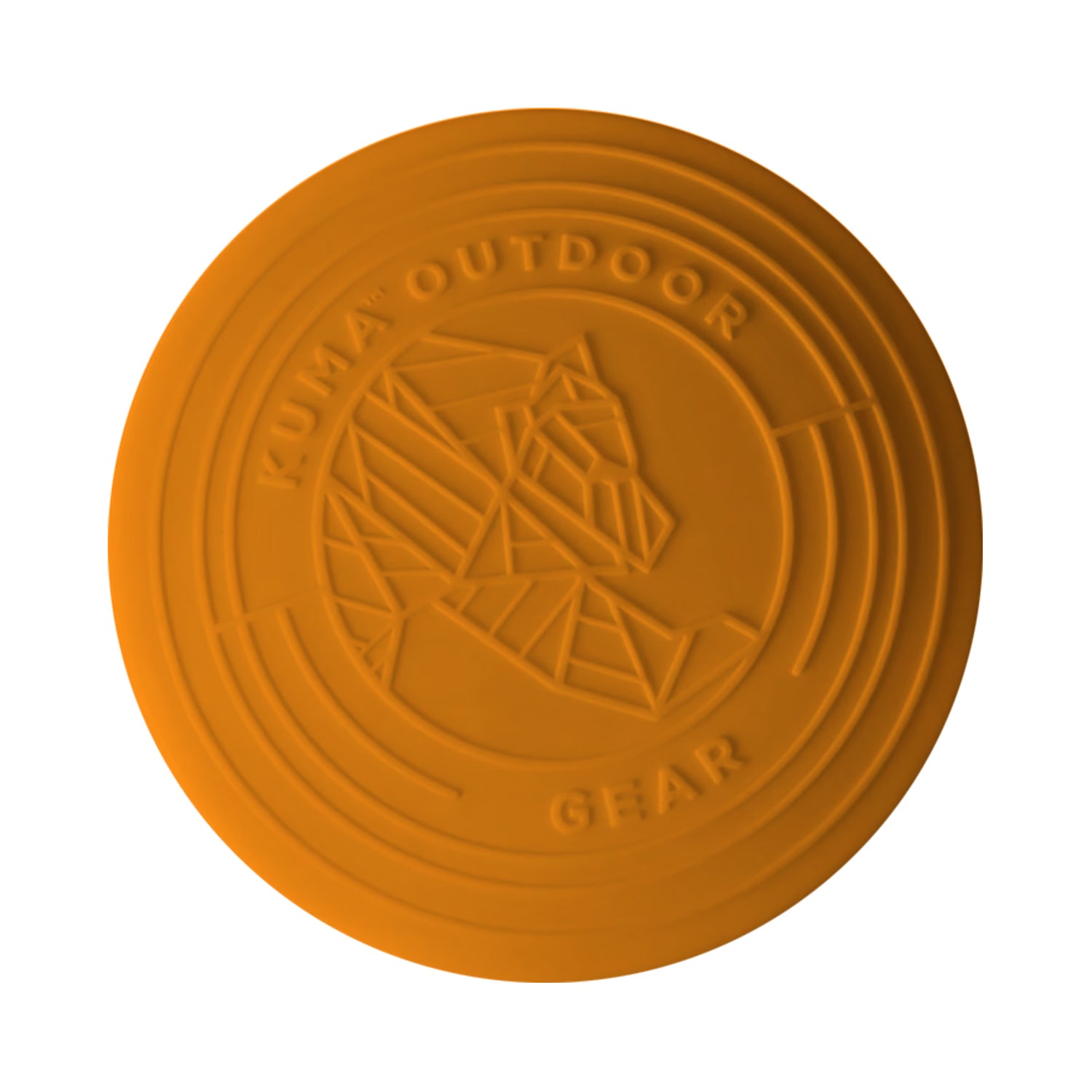 Dog playing with Rocky Mountain Flyer – Lightweight and Easy to Grip Frisbee