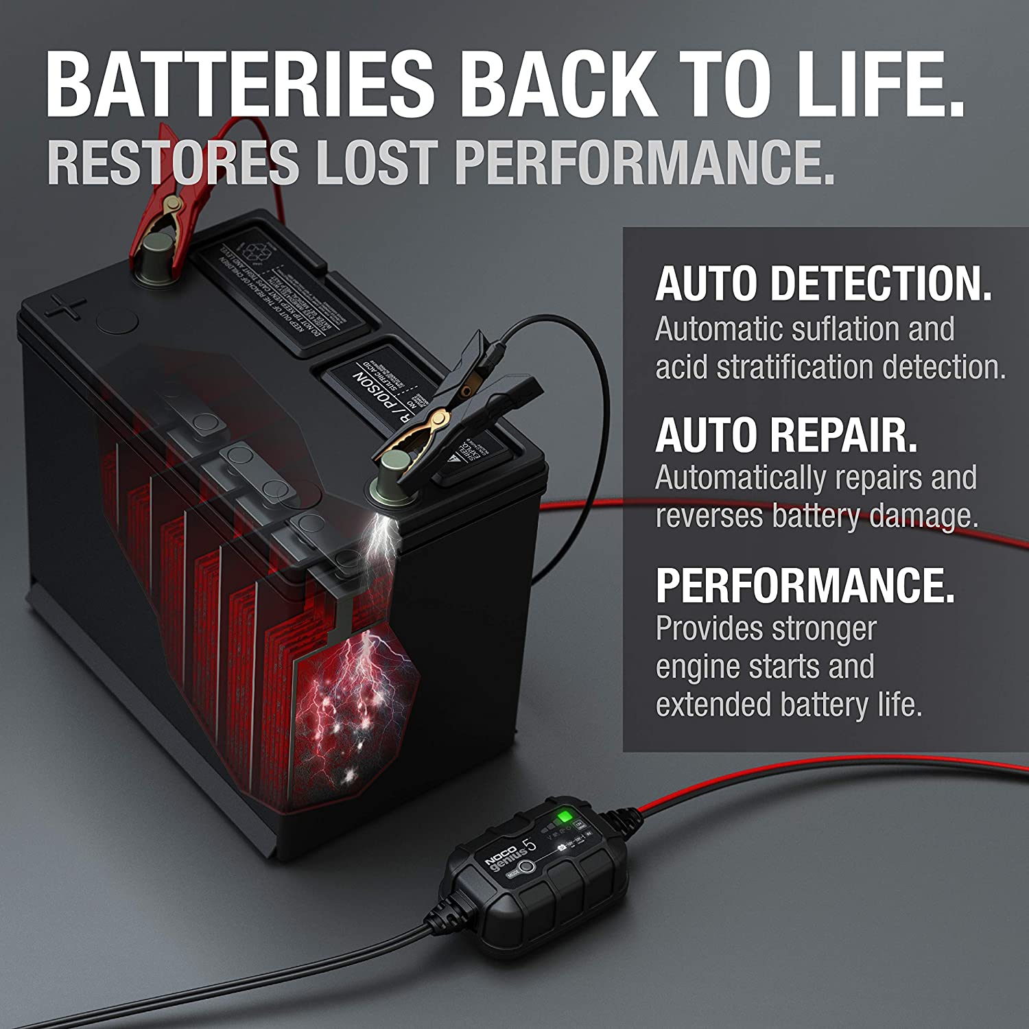 Smart Battery Charger/Maintainer/Desulfator, 5-Amp, 6V/12V