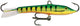 Jigging Rap fishing lure with a balanced, weighted minnow profile and single reversed hooks, perfect for ice or open water fishing