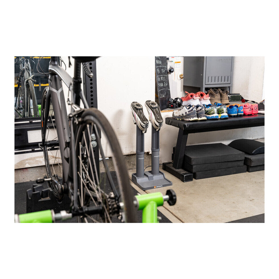 Quiet overnight shoe dryer for warm, dry footwear