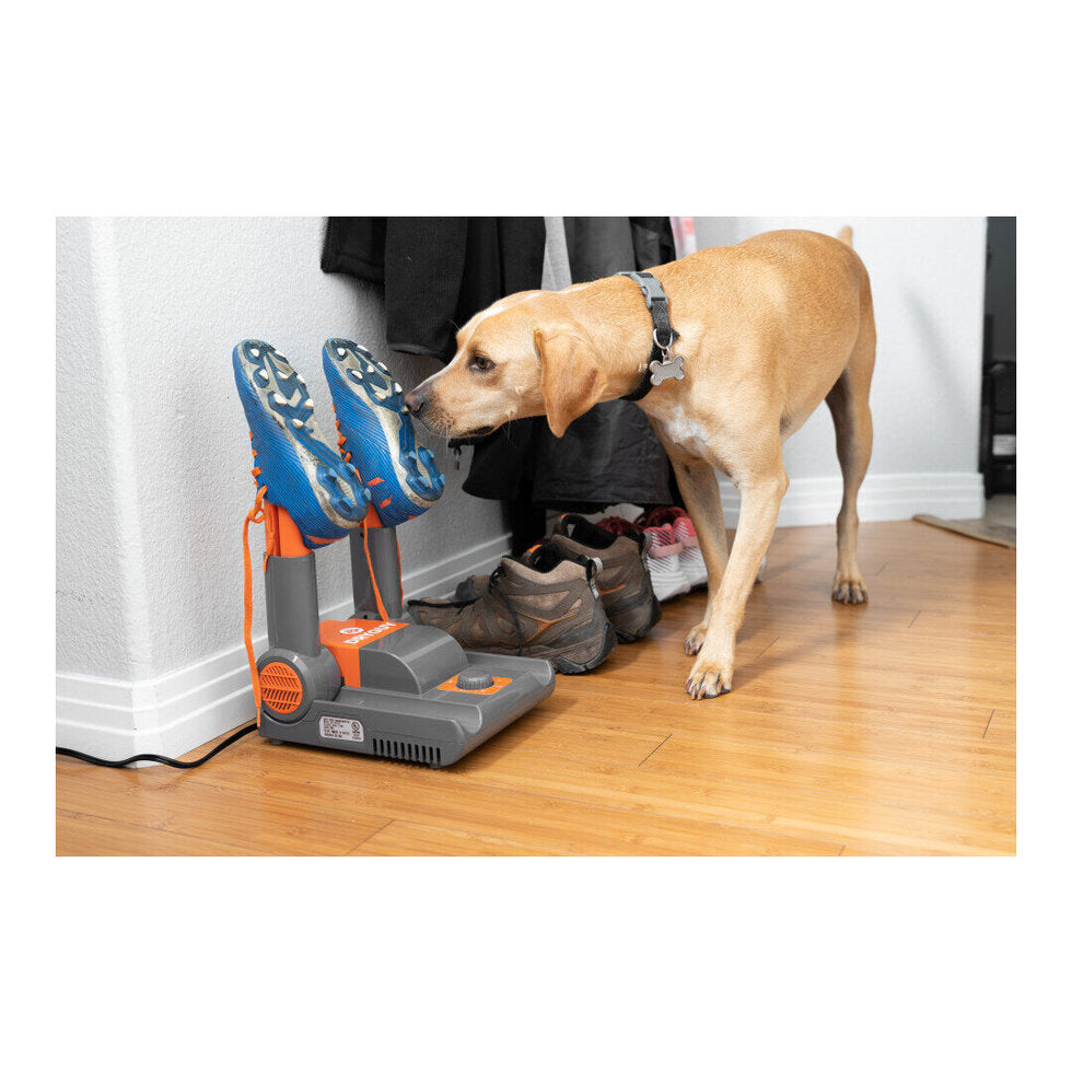 Compact forced-air shoe dryer safe for boots, gloves, and athletic shoes