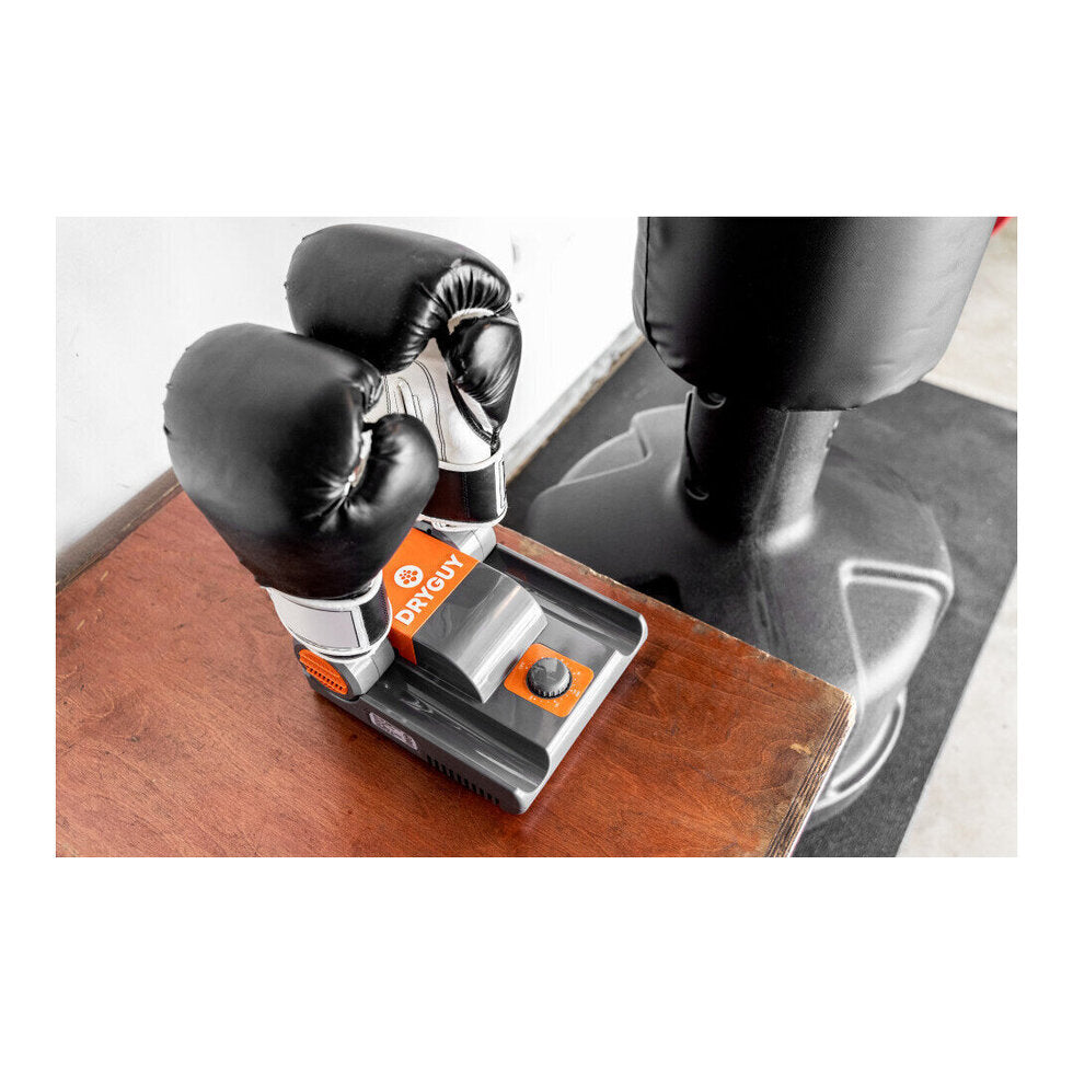 Portable shoe and glove dryer preventing odor-causing moisture