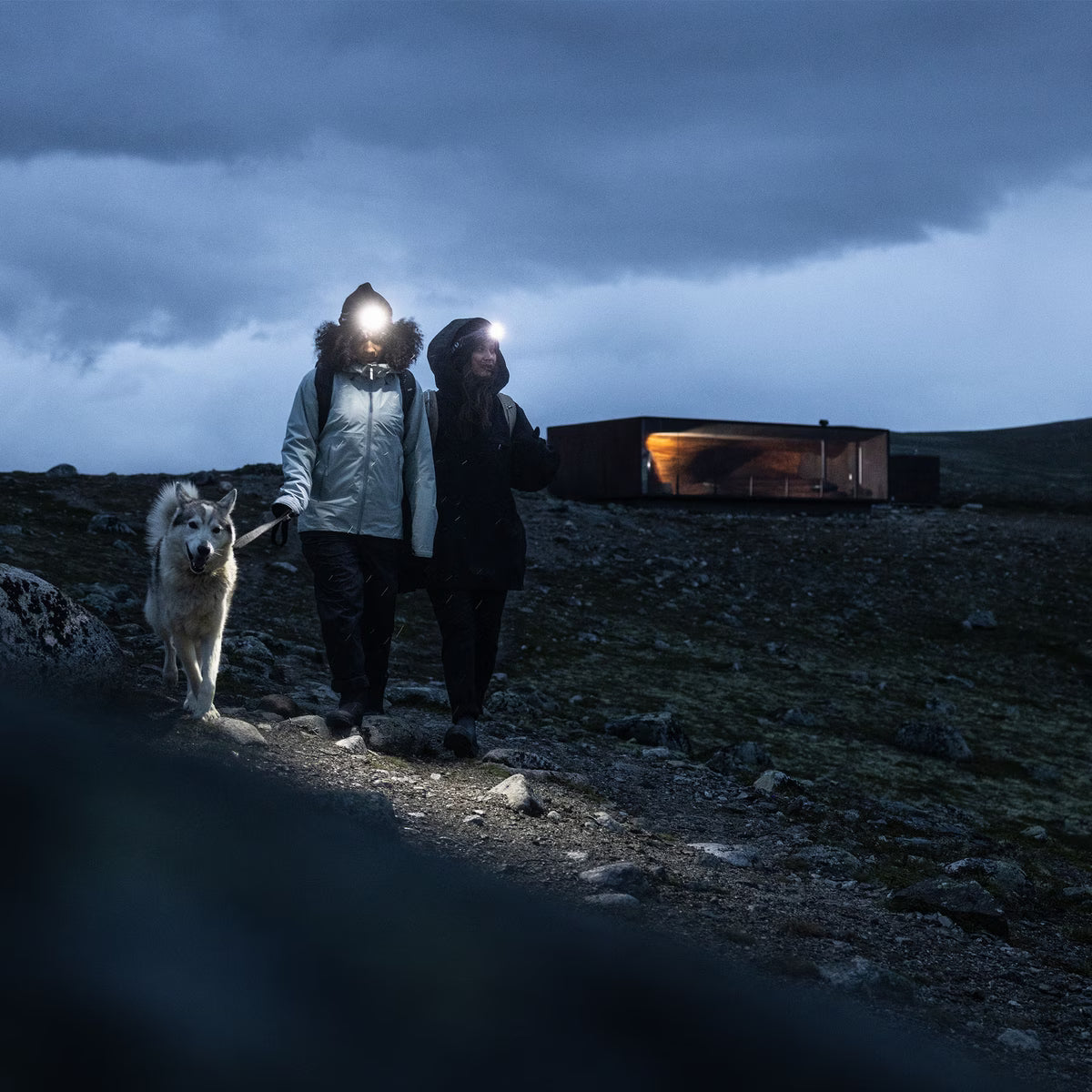 Top pocket for phone, keys, and glasses on 25L versatile daypack