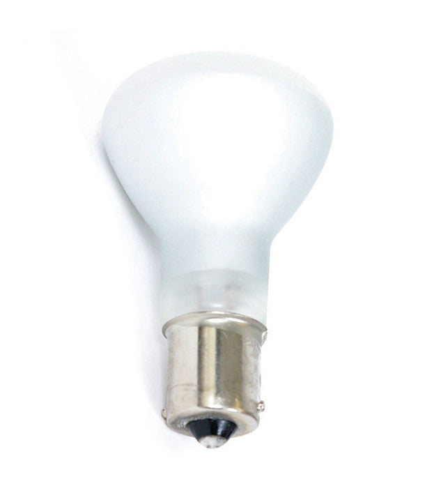 Flood Light Bulb 12V