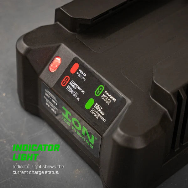 ION 40V battery charger with automatic shutoff feature