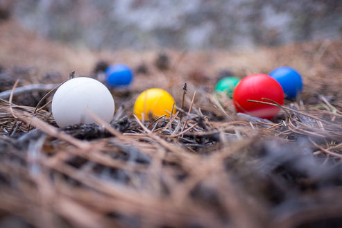 Colorful Easter eggs in a nest with a blurred natural background
