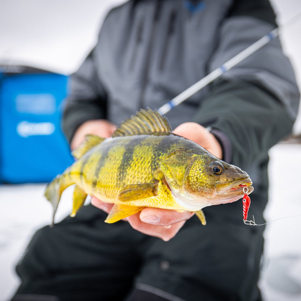 Clam Bomb Drop Tungsten ice fishing lure in three colors