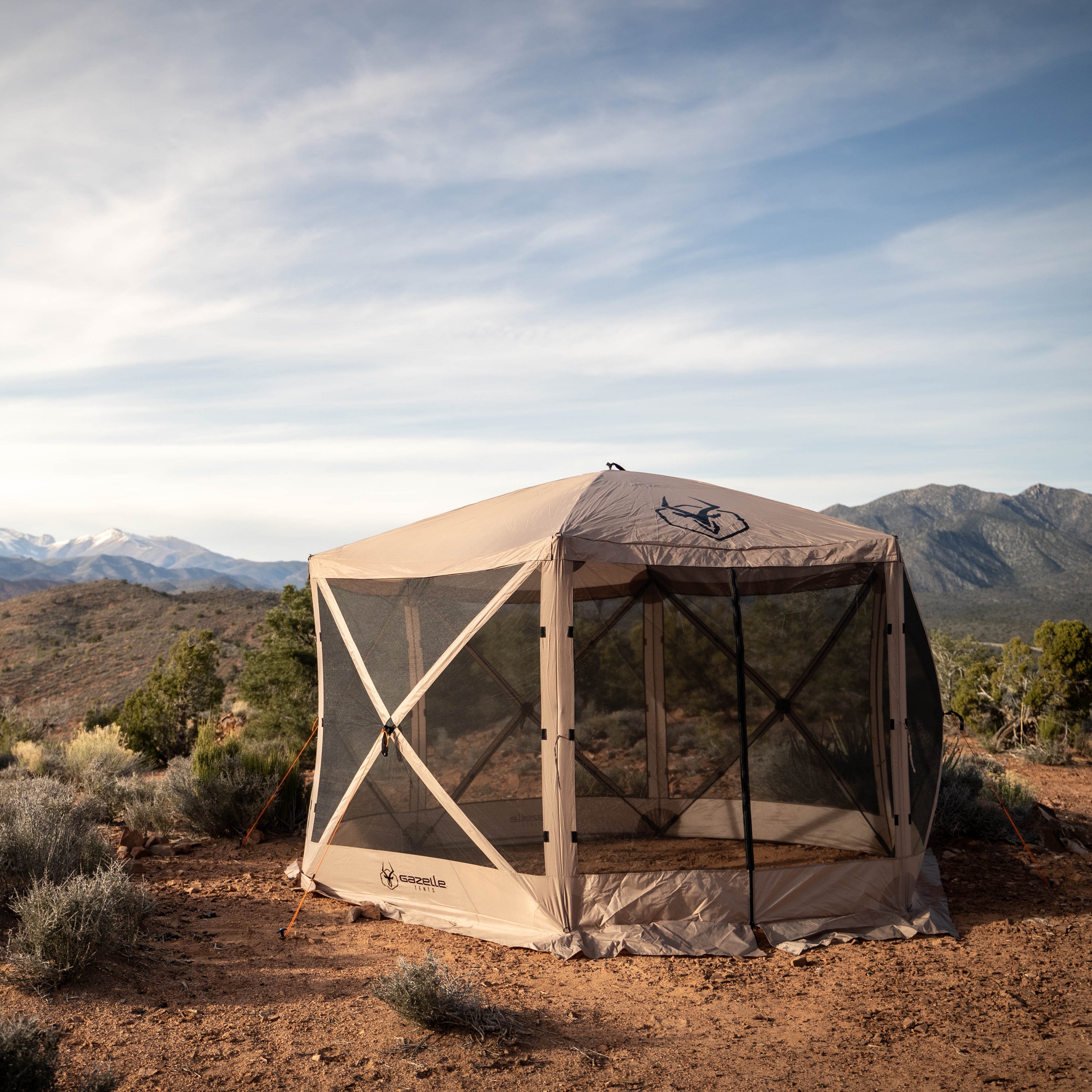 Gazelle G6 Gazebo in Backyard with Durable TriTech Mesh for Bug Protection
