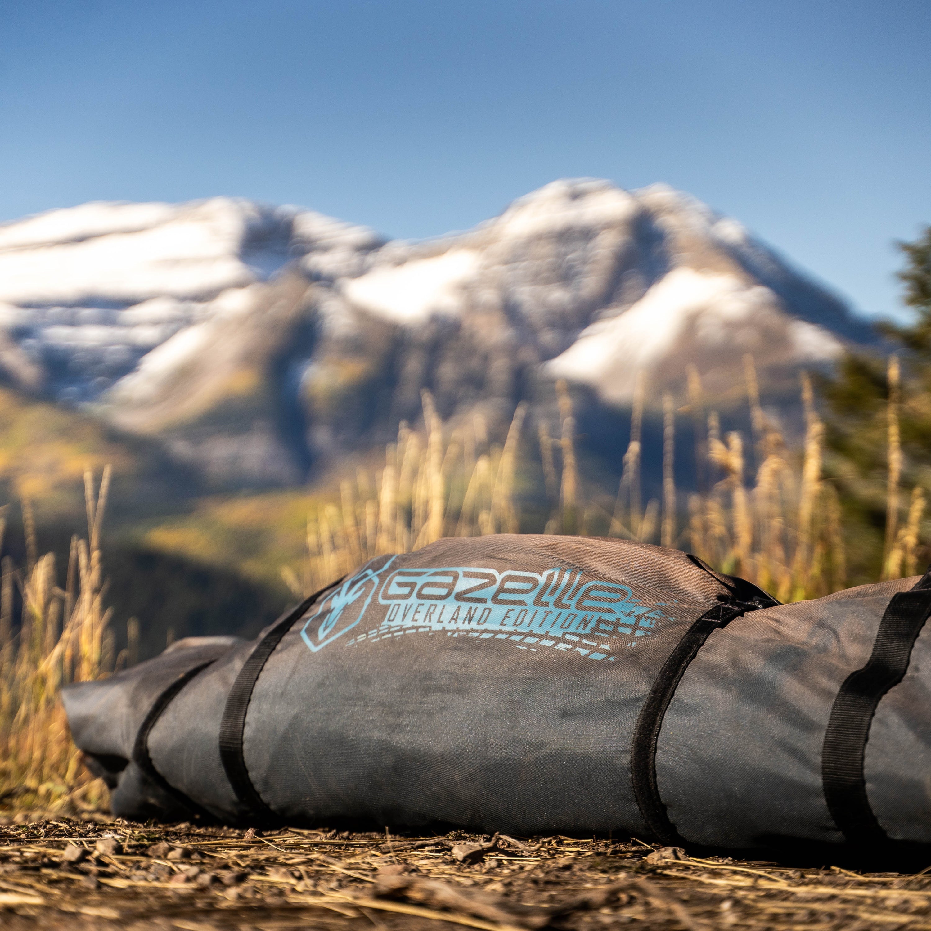 Interior view of the tent with removable gear loft and six gear pockets
