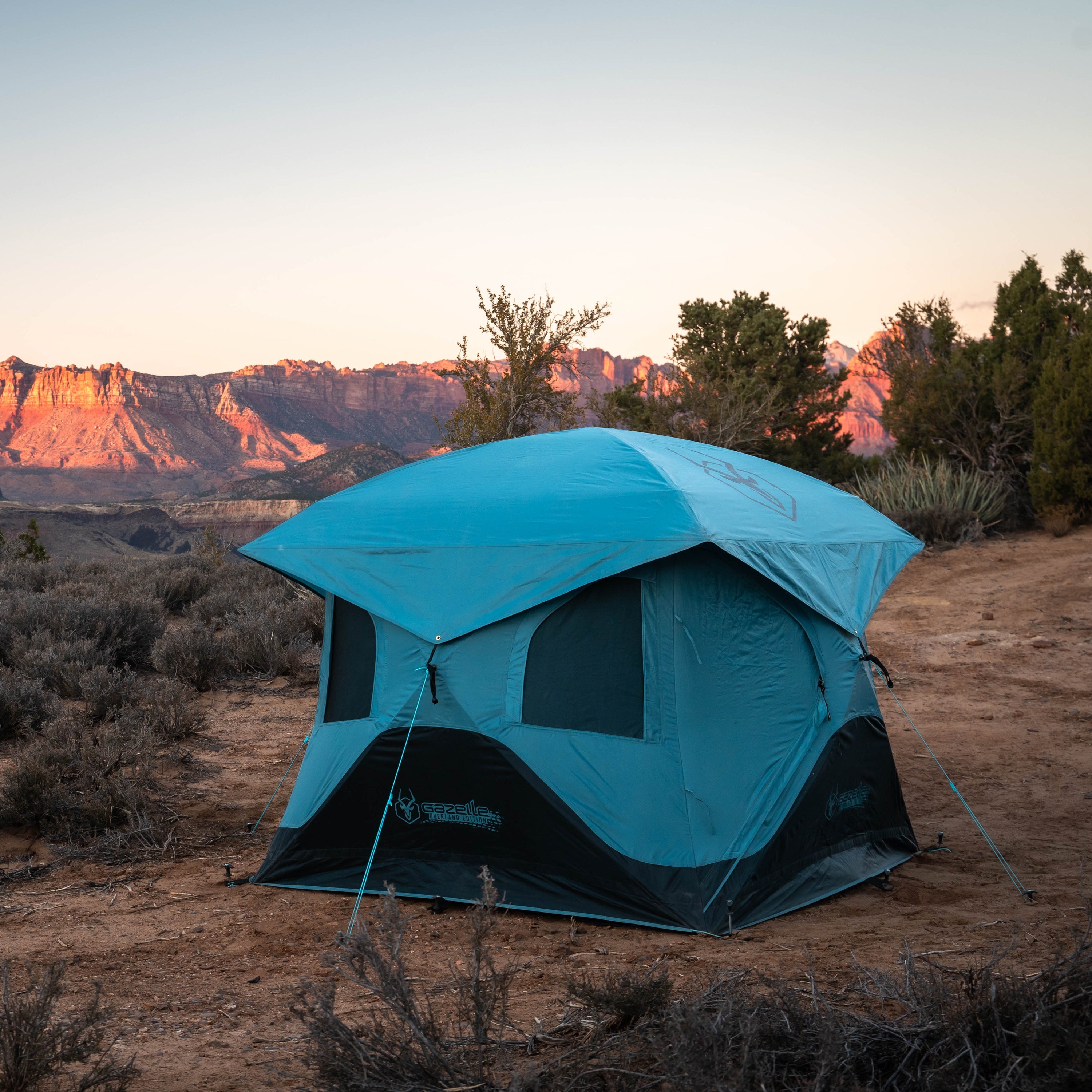 Close-up of the tent's six tight-weave mesh windows – Provides ventilation while keeping insects out.
