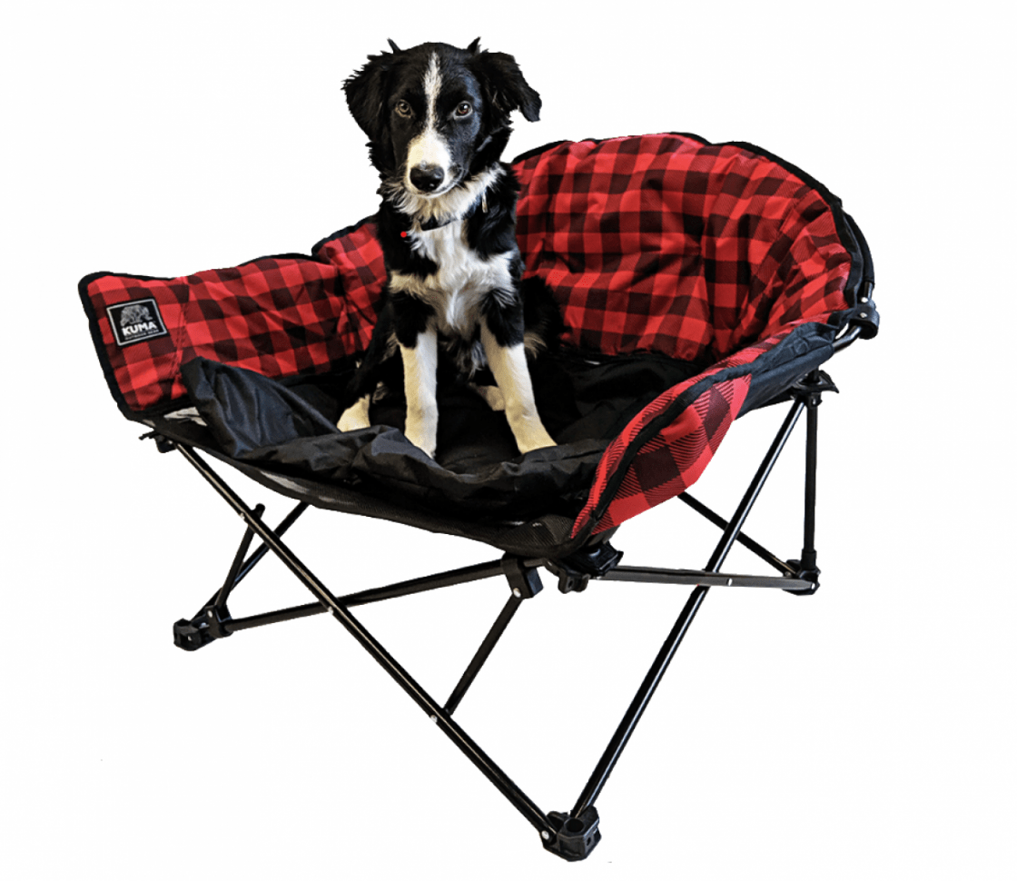 Dog camping bed