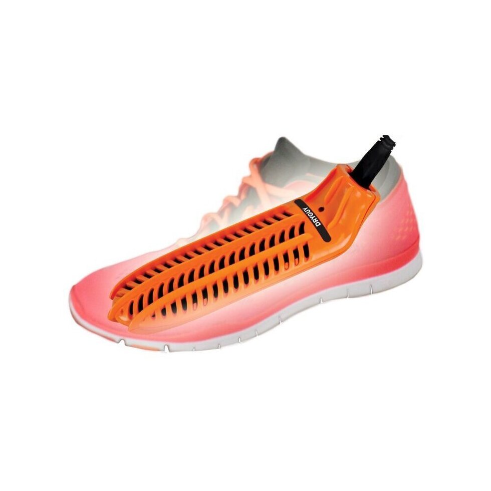 Portable boot and shoe dryer reducing moisture and odor