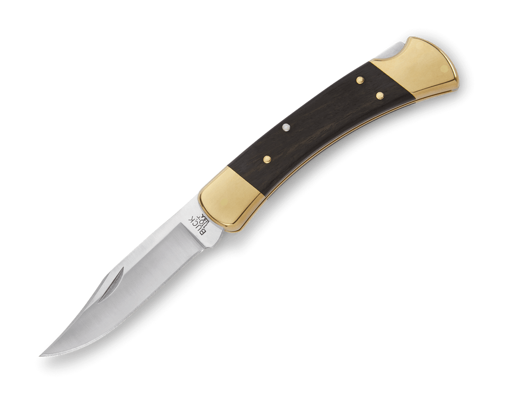 Buck 110 Folding Hunter folding knife with ebony handle, brass bolsters and 420HC stainless steel blade