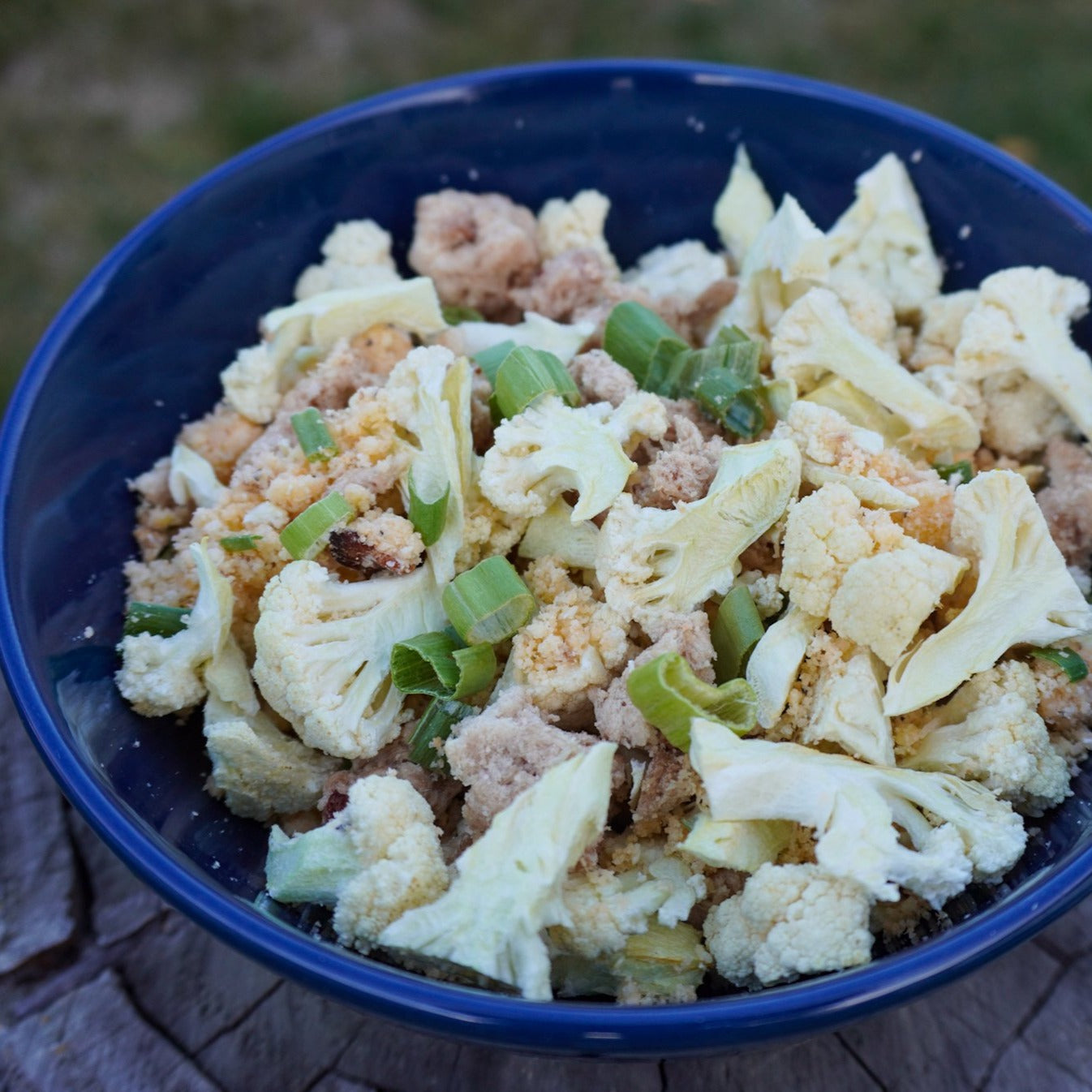 Low-carb freeze-dried creamy chicken cauliflower bacon camping meal