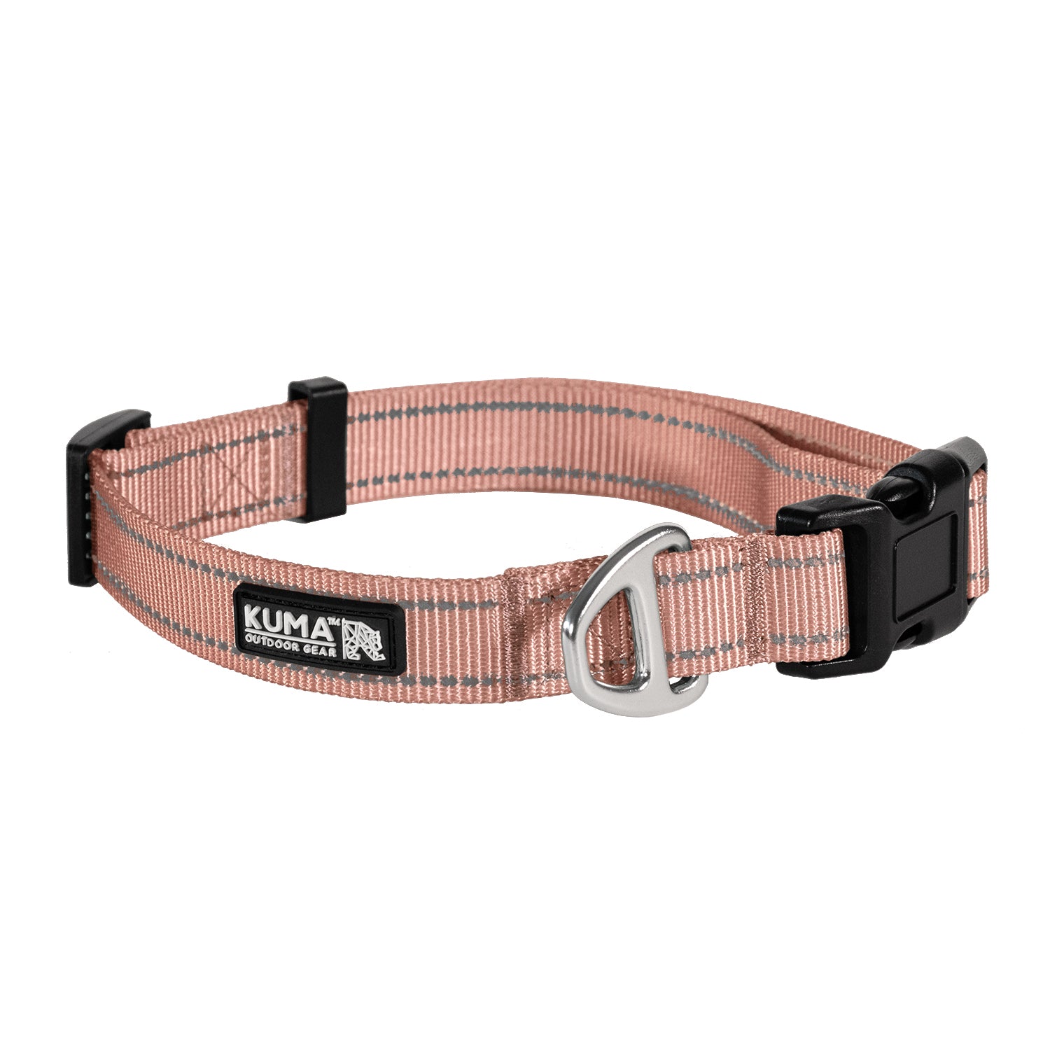 Lazy Bear Dog Collar