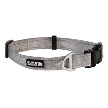 Lazy Bear Dog Collar