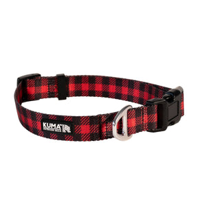 Lazy Bear Dog Collar