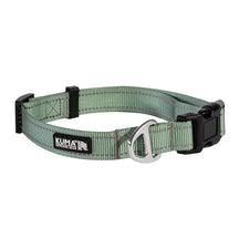 Lazy Bear Dog Collar