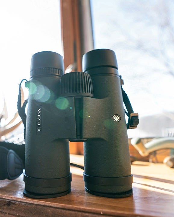 Triumph HD 10x42 binoculars with harness case, neck strap, lens covers, and cleaning cloth